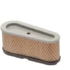 Filtre à Air BRIGGS ET STRATTON 493909 - 496894