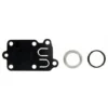 Kit Membrane, Ressort Et Joint BRIGGS ET STRATTON 270026