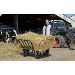 Produits populaires -Promos Botani Pro Boutique 1237595 2