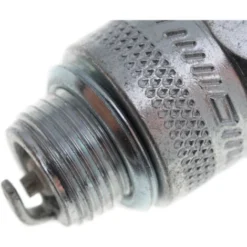 Bougie Champion RJ19LM Pour Moteur Thermique -Promos Botani Pro Boutique 17270996 3