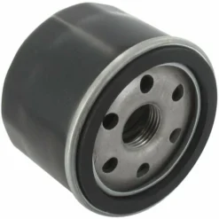 Filtre à Huile MTD 75112690