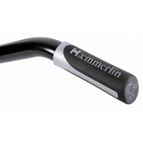 BROUETTE HAEMMERLIN AKTIV EXCELLIUM 100 GALVA ROUE INCREVABLE- 305346001 2 BROUETTE HAEMMERLIN AKTIV EXCELLIUM 100 GALVA ROUE INCREVABLE- 305346001 – Image 2