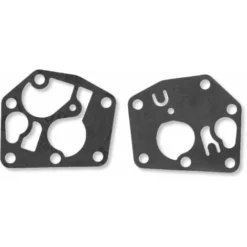 Membrane Joint Carburateur En Kit Compatible Avec Briggs & Stratton 495770 795083 Tondeuse Motoculture