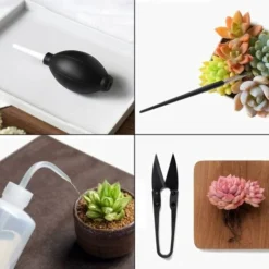 Lot De 15 Mini Outils De Jardinage Pour Greffe De Main Succulente, Outils De Jardinage Miniatures, Kit De Cactus -Promos Botani Pro Boutique 75177306 5