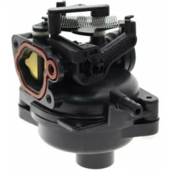 OAAO 799584 Carburateur De Garniture Pour Moteur Briggs Stratton 9P702 09P702 550EX -Promos Botani Pro Boutique 95084893 4