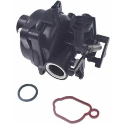OAAO 799584 Carburateur De Garniture Pour Moteur Briggs Stratton 9P702 09P702 550EX -Promos Botani Pro Boutique 95084893 5