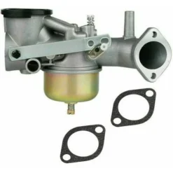 Carburateur Pour Moteurs Briggs Stratton 491026/281707/491031 12cv -Promos Botani Pro Boutique 95476446 3
